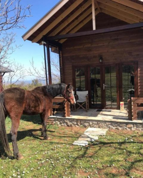 Olympus Horse Riding Club Wooden Horse House Nafar